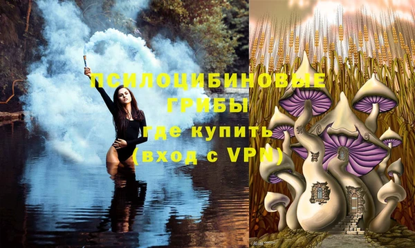 MDMA Premium VHQ Белокуриха