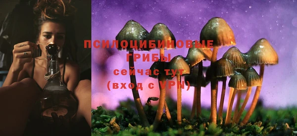не бодяженный Беломорск