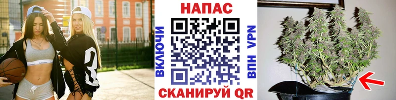 Шишки марихуана тримм  Тихорецк 